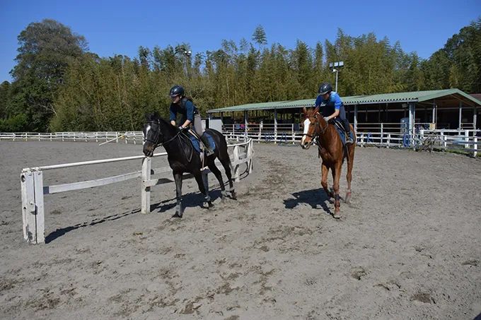 富里トレーニングファーム
